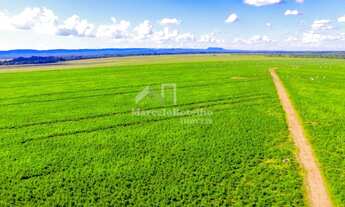 Imagem 5: Fazenda em Rosário Oeste-MT - Dupla Aptidão
