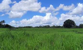 Imagem 6: FAZENDA CORACAO DE MARIA