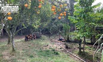 Imagem 2: Chácara / Sítio - Bairro Sertão Capivara - Portão