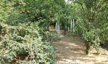 Imagem 3: Porto Alegre - Casa Padrão - Belém Novo