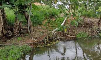 Imagem 6: VENDE-SE Chácara / Sítio NO OSCAR BRESSANE - OSCAR BRESSANE/SP