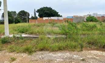 Imagem 4: Terreno plano contendo 150,00 m² de área total