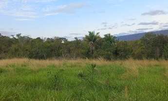 Imagem 5: 100 Héctares disponível sendo 73 mecanizavel