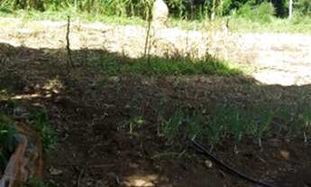 Imagem 3: 30.000 rural,chác expansão urbana S.Canedo