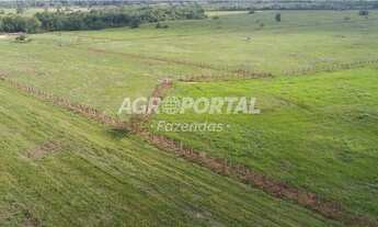 Imagem 4: Fazenda no Pará - Acará - 323 ha (66 alq