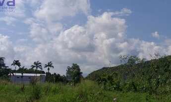Imagem 5: Terreno para Venda em Gaspar, Bela Vista