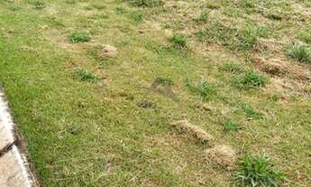 Imagem 4: Terreno - Tanquinho Velho - Monte Alegre do Sul