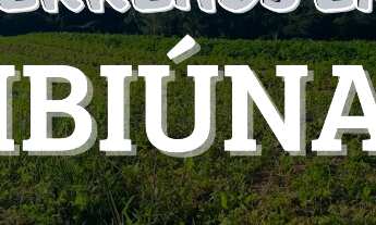 Imagem 7: Vendo terreno para chácara