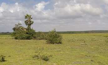 Imagem 6: Sítios em barreirinhas 5.000 mt2 parcelados