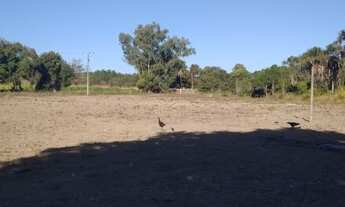Imagem 7: Excelente Chácara de 10 Hectares na Taquara em Planaltina DF