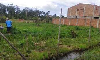 Imagem 4: Vendo lotes na ilha de Barra grande