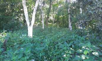 Imagem 7: Ótima casa Casa com 1 dormitório