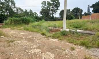 Imagem 7: Terreno plano contendo 150,00 m² de área total