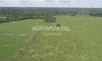 Imagem 2: Fazenda no Pará - Tomé-Açu - 798 ha (165 alq