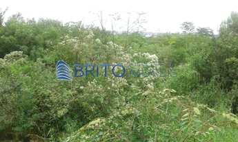 Imagem 5: Terreno em Vila Fatima-Gravatai