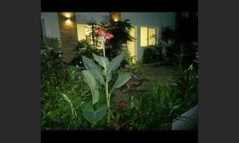 Imagem 5: Casa com 2 dormitórios para alugar, 88 m² por R$ 4.300/mês - Glória - Rio de Janeiro/RJ