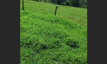 Imagem 6: Fazenda 487 Alqueires Municipio Serranopolis