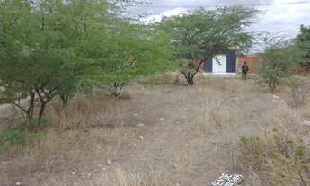 Imagem 5: Terreno no rodeadouro