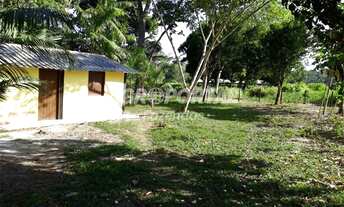 Imagem 3: Fazenda no Pará - Barcarena - 98 ha (20 alq