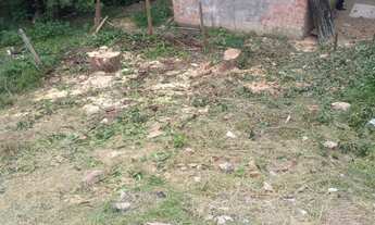 Imagem 4: Lote novo aleixo