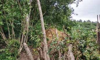 Imagem 6: Porto Alegre - Terreno Padrão - Serraria