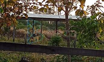 Imagem: Chácara com 2 dormitórios à venda, 34500