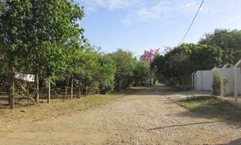 Imagem 4: GLEBAS CALIFORNIA