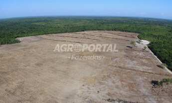 Imagem 5: Fazenda no Pará - Bragança - 1540 ha (318 alq