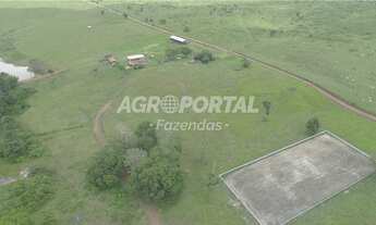 Imagem 4: Fazenda no Pará - Santa Maria - 312 ha (64 alq