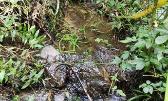 Imagem 4: RANCHO QUEIMADO - SC LINDO Terreno com 10 HECTARES com NASCENTE