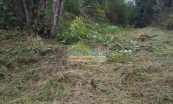 Imagem 3: ÁREA à venda com 90016.2m² por R$ 750.000,00 - CAMPO MAGRO / PR