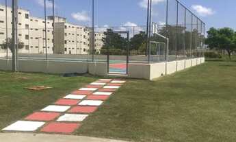 Imagem: Bosque dos Flamboãies