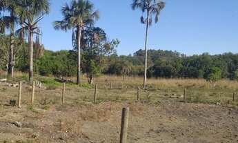Imagem 6: Excelente Chácara de 10 Hectares na Taquara em Planaltina DF