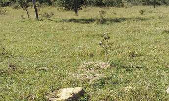 Imagem 4: Chacara com rio passando no fundo