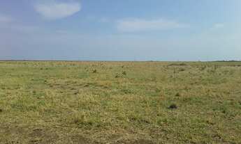 Imagem 2: Fazenda 1600 hectares ribeirao cascalheira