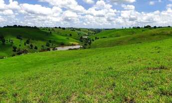 Imagem 7: Fazenda linda São Felipe 305 tarefas Com Rio Cortando Clima solos Pecuária Porteira Fechad