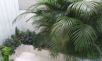 Imagem 4: CASA TÉRREA - VILA MUSSOLINI - SP