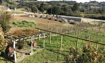 Imagem 6: Caxias Do Sul - Chácara - Vila Seca
