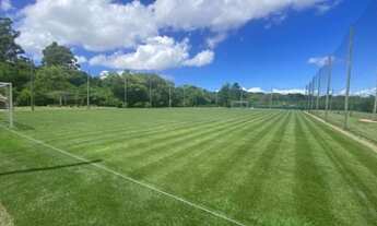 Imagem 6: Porto Alegre - Terreno Padrão - Vila Nova