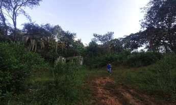 Imagem 7: Chácara Itatiaiuçu - 3.000 M²