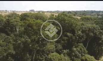 Imagem 2: Chacára Coimbra codigo: 25955