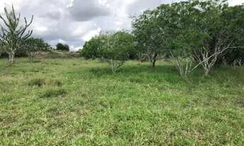 Imagem 3: Excelente Fazenda em Sapeaçu com 150 TA