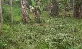 Imagem 2: Terreno ubatumirim em Ubatuba