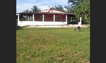 Imagem 2: Vende se chácara Taboquinha padre Bernardo