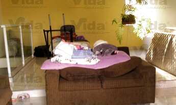 Imagem 2: Casa para locação em Pestana - Osasco