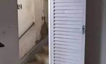 Imagem 2: Alugo Casa de 2 cômodos em Jandira (divisa com Itapevi