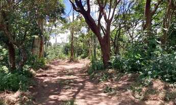 Imagem 3: TERRENOS EM ALDEIA 5000m2