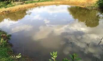 Imagem 3: Terreno com muita água