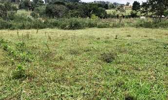 Imagem 2: Terreno com muita água