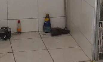 Imagem 2: Aluguel Casa com 2 dormitórios